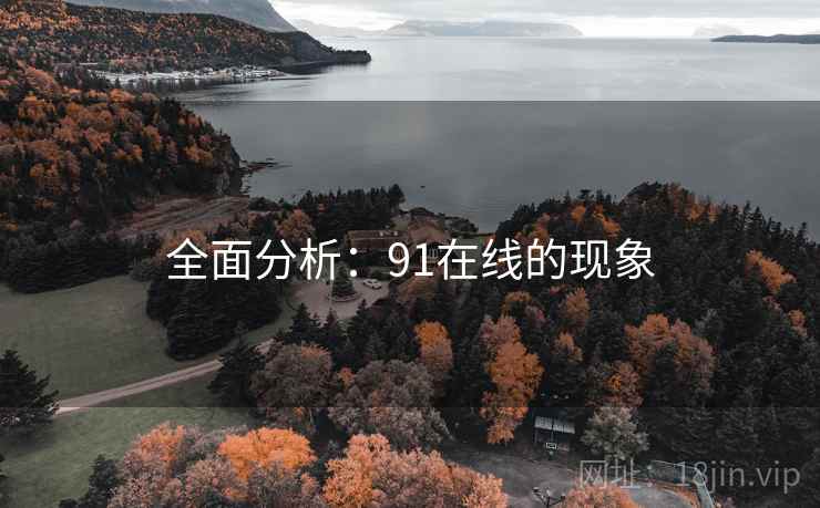 全面分析：91在线的现象  第2张