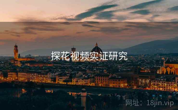 探花视频实证研究
