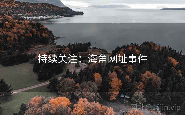 持续关注：海角网址事件