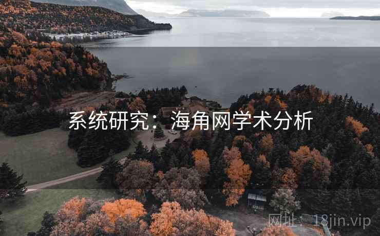 系统研究：海角网学术分析