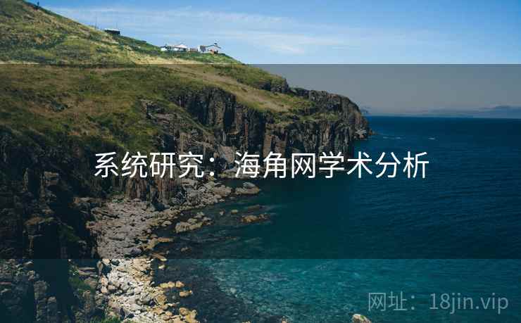 系统研究：海角网学术分析