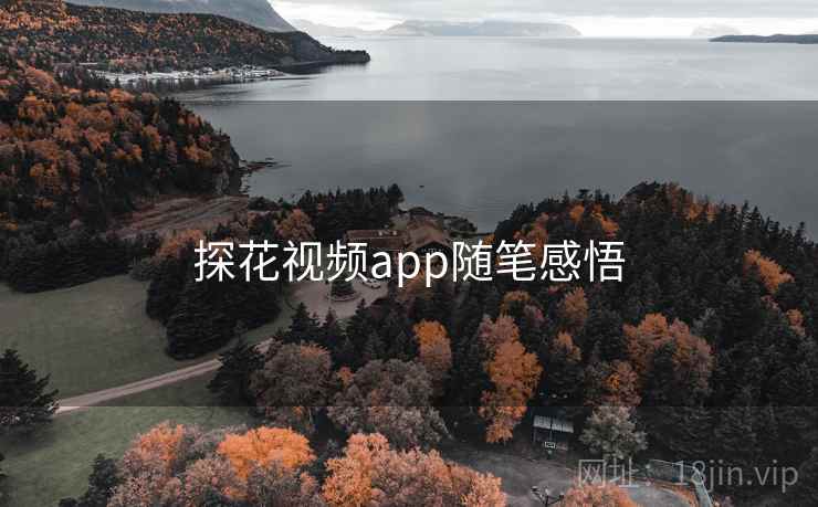 探花视频app随笔感悟