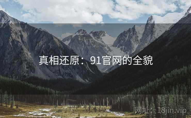 真相还原：91官网的全貌