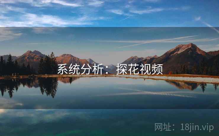 系统分析：探花视频
