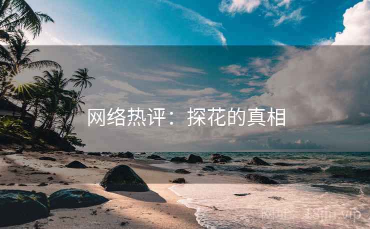 网络热评：探花的真相  第1张