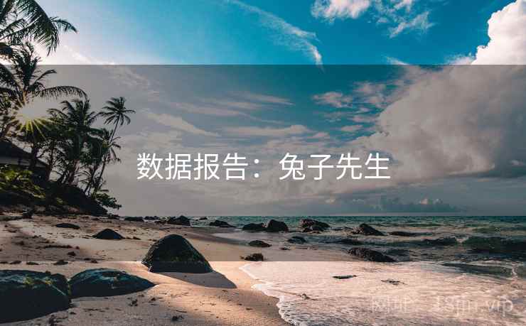 数据报告：兔子先生