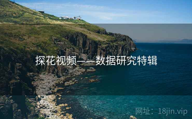 探花视频——数据研究特辑