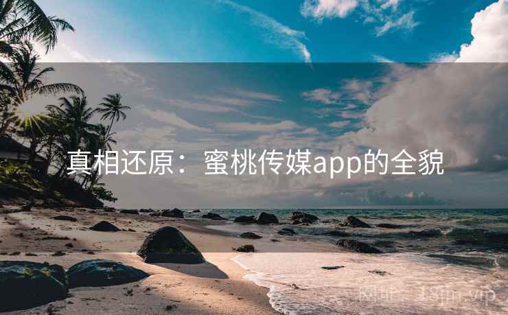 真相还原：蜜桃传媒app的全貌